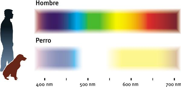Espectro de colores visibles
