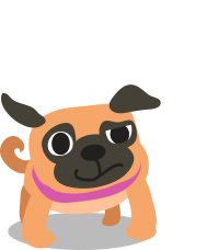 FAQ Dog